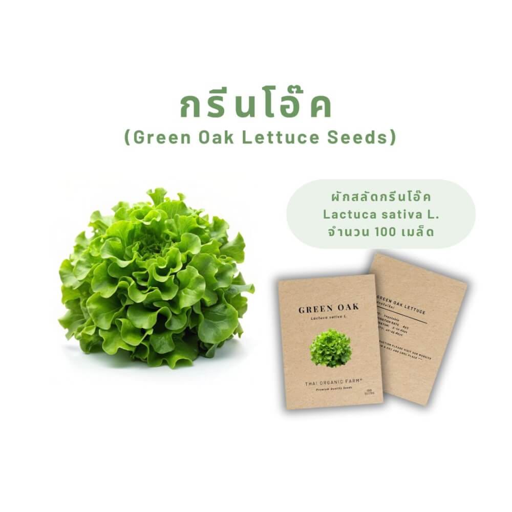 เมล็ดพันธุ์ผักสลัดกรีนโอ๊ค LETPOT ไทย ออแกนิค ฟาร์ม_3